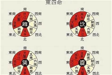 东四命|震宫东四命是什么